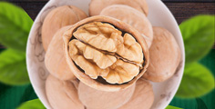 Suguo international является одним из крупнейших поставщиков грецкого ореха в Китае